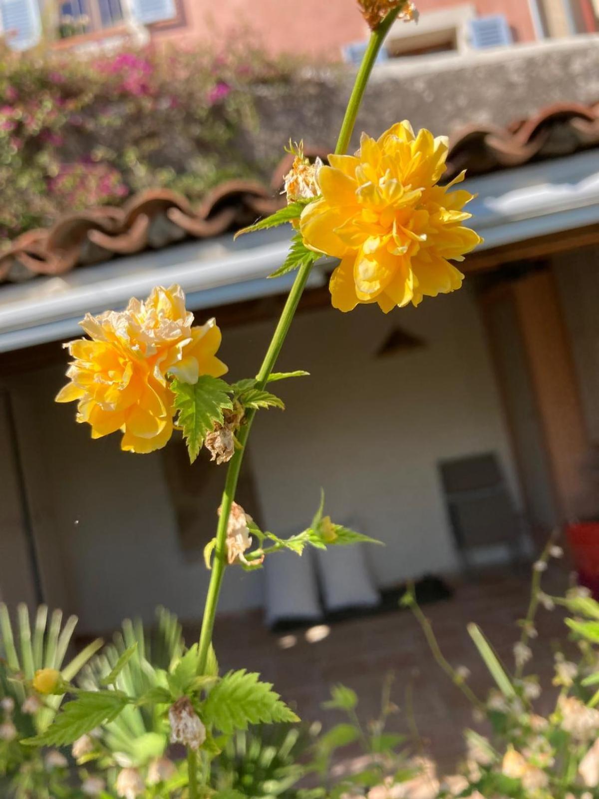 Claviers La Belle Histoire Bed & Breakfast エクステリア 写真